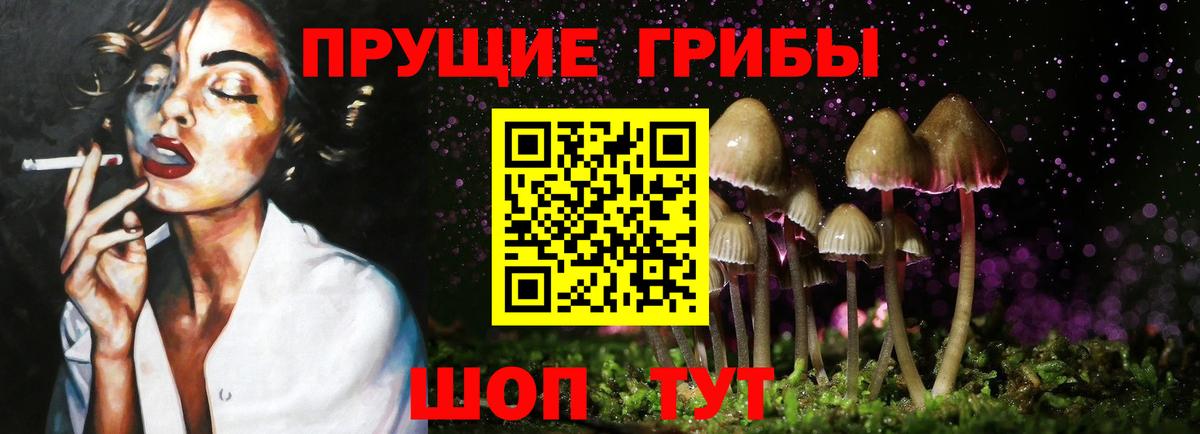Псилоцибиновые грибы мухоморы  Вход с VPN  Златоуст  Галлюциногенные грибы Psilocybe 